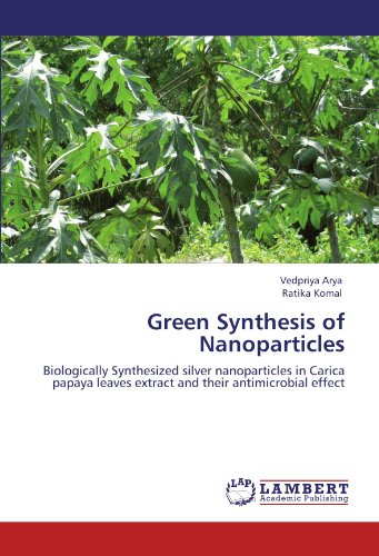 Green Synthesis of Nanoparticles [Paperback]