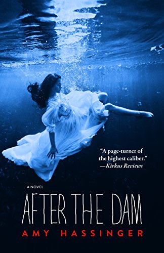 After the Dam [Paperback]