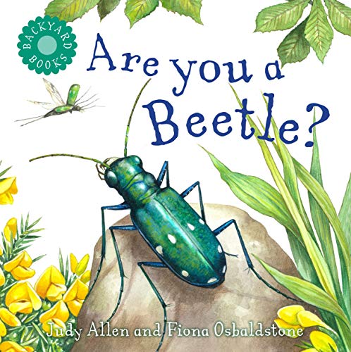 Are You a Beetle [Paperback]