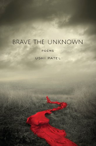 Brave The Unknown [Paperback]