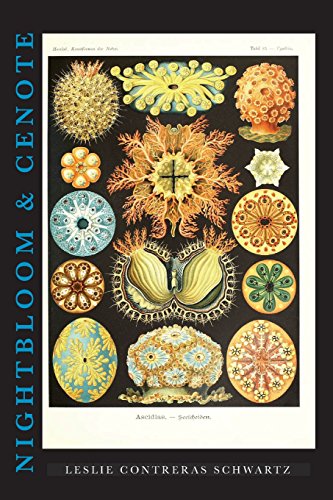 NIGHTBLOOM and CENOTE [Paperback]