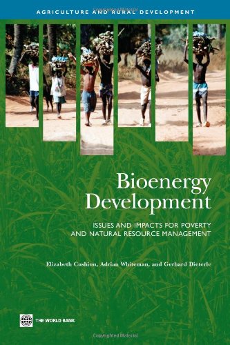 Bioenergy Development Issues and Impacts for Poverty and Natural Resource Manag [Paperback]