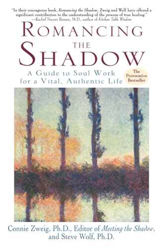 Romancing the Shadow A Guide to Soul Work for a Vital, Authentic Life A Shadow [Paperback]