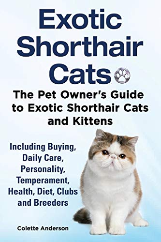 Exotic Shorthair Cats The Pet Owner's Guide To Exotic Shorthair Cats And Kittens [Paperback]