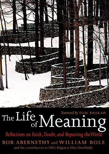 The Life of Meaning Reflections on Faith, Doubt, and Repairing the World [Paperback]