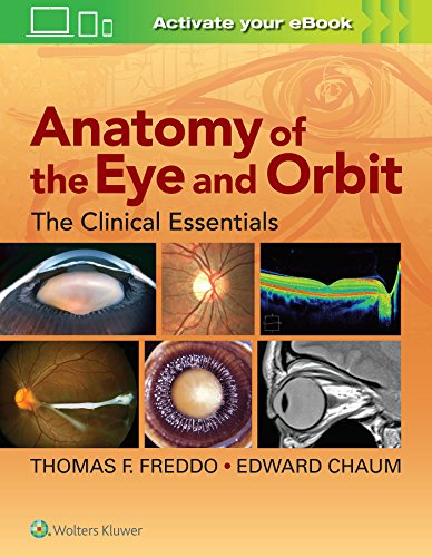 Anatomy of the Eye and Orbit The Clinical Essentials [Hardcover]