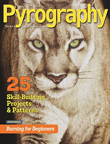 Pyrography Special Edition 25 Skill-Building Projects &amp Patterns featuring  [Paperback]
