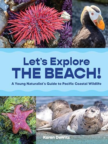 Lets Explore the Beach A Young Naturalists Guide to Pacific Coastal Wildlife [Paperback]