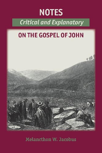 Notes On The Gospels Critical And Explanatory On John [Paperback]