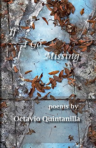 If I Go Missing [Paperback]