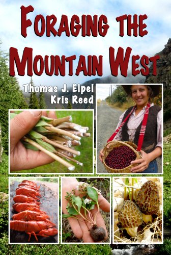 Foraging the Mountain West Gourmet Edible Plants, Mushrooms, and Meat [Paperback]