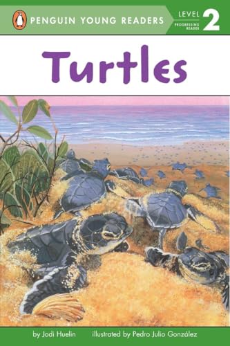 Turtles [Paperback]