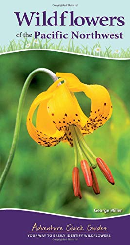 Wildflowers of the Pacific Northwest Your Way to Easily Identify Wildflowers [Spiral bound]