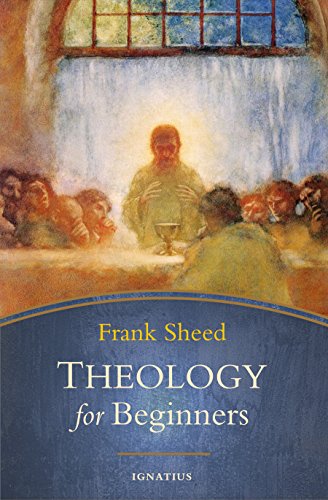 Theology for Beginners [Paperback]