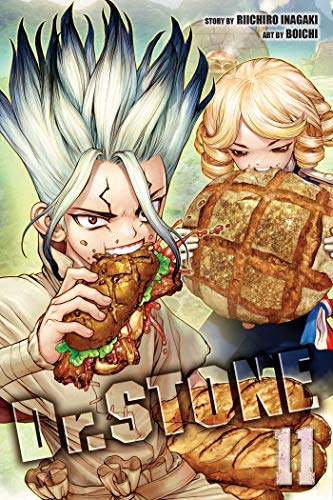 Dr. STONE, Vol. 11 [Paperback]