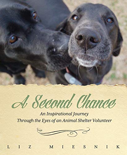 A Second Chance An Inspirational Journey Through The Eyes Of An Animal Shelter  [Paperback]