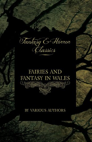 Fairies and Fantasy in Wales - Short Stories from the Mythical Past to the Moder [Paperback]