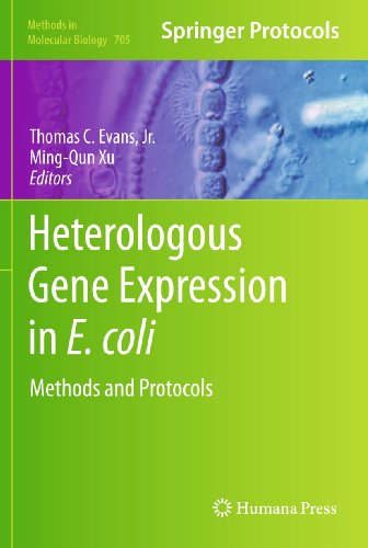 Heterologous Gene Expression in E.coli Methods and Protocols [Hardcover]