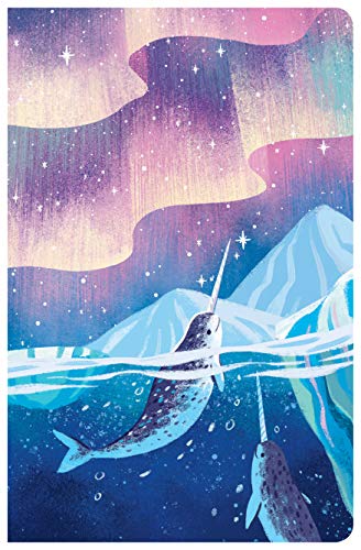 CSB Kids Bible, Narwhal LeatherTouch [Unknown]