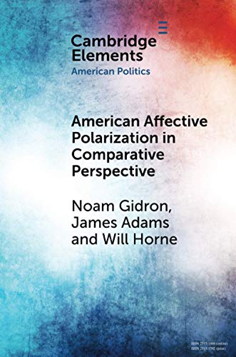 American Affective Polarization in Comparative Perspective [Paperback]