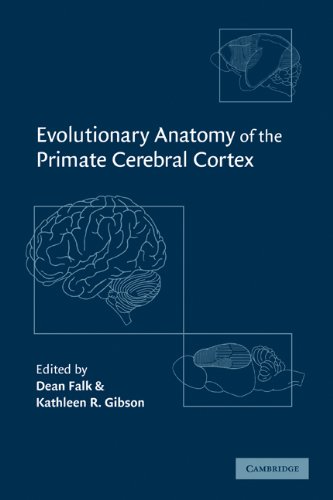 Evolutionary Anatomy of the Primate Cerebral Cortex [Paperback]