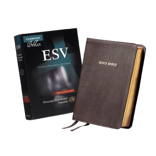 ESV Clarion Reference Edition Brown Calfskin Leather ES485X [Leather / fine bindi]