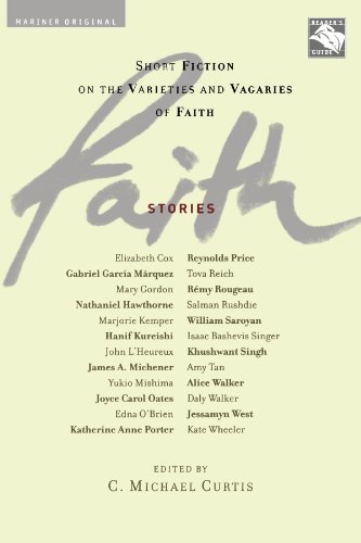Faith Stories Short Fiction on the Varieties and Vagaries of Faith [Paperback]