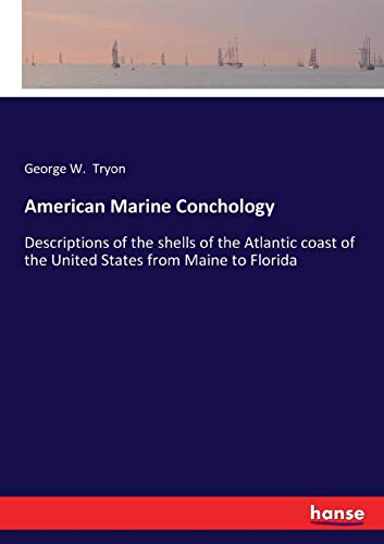 American Marine Conchology [Paperback]