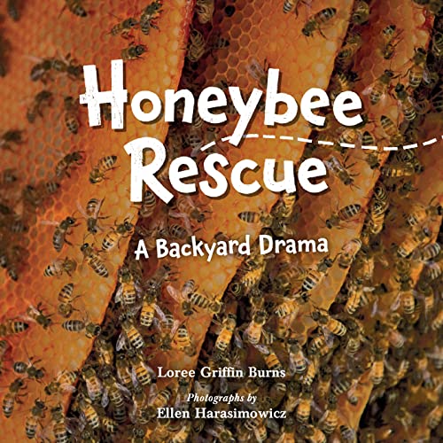 Honeybee Rescue A Backyard Drama [Hardcover]