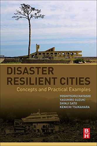 Disaster Resilient Cities Concepts and Practical Examples [Paperback]