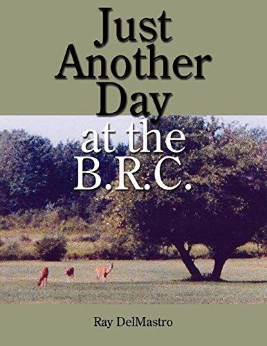 Just Another Day At The B.R.C. [Paperback]