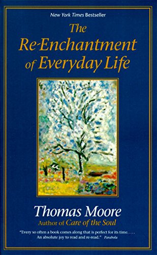 The Re-enchantment of Everyday Life [Paperback]