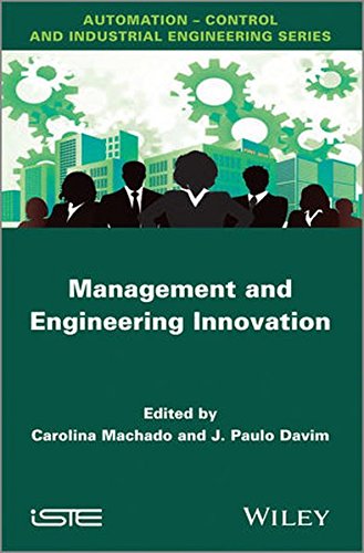 Management and Engineering Innovation [Hardcover]