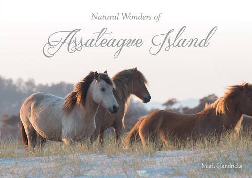 Natural Wonders Of Assateague Island [Hardcover]