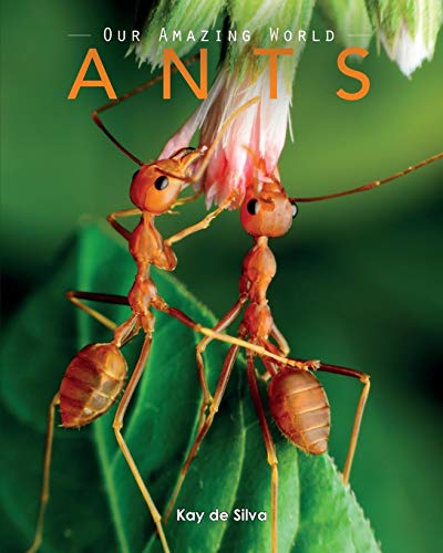 Ants Amazing Pictures & Fun Facts On Animals In Nature [Paperback]