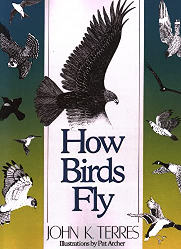 How Birds Fly [Paperback]