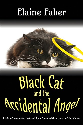 Black Cat And The Accidental Angel [Paperback]