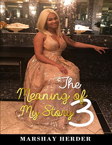 Meaning of My Story 3  The Poetic Bible [Paperback]