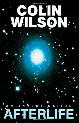 Afterlife An Investigation [Paperback]