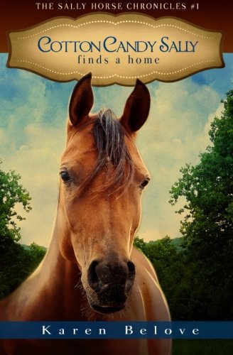 Cotton Candy Sally Finds A Home (the Sally Horse Chronicles) [Paperback]
