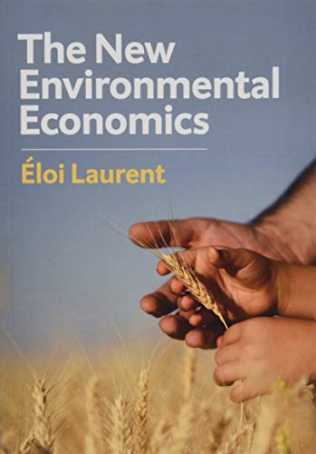 The New Environmental Economics Sustainability and Justice [Paperback]