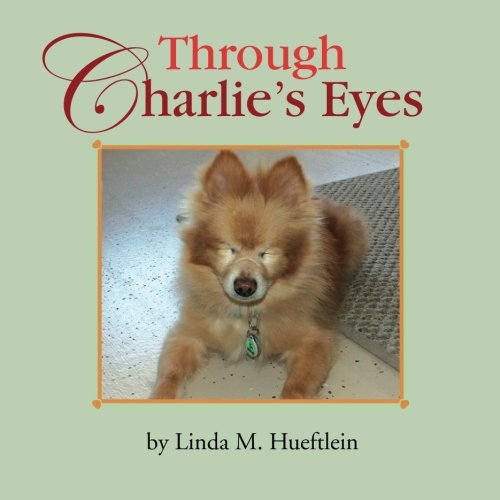 Through Charlie's Eyes [Paperback]