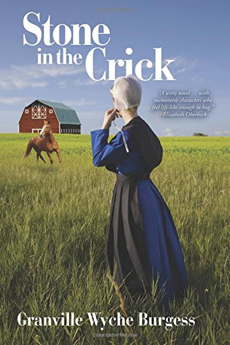 Stone in the Crick  Rebecca Zook's Amish Romance, Book One [Paperback]