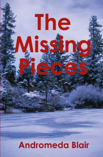 The Missing Pieces [Paperback]