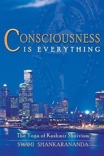 Consciousness Is Everything The Yoga Of Kashmir Shaivism [Paperback]