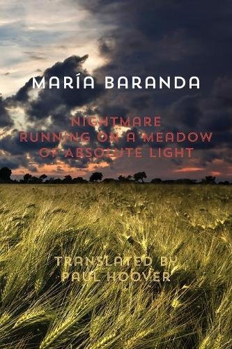 Nightmare Running on a Meadow of Absolute Light [Paperback]
