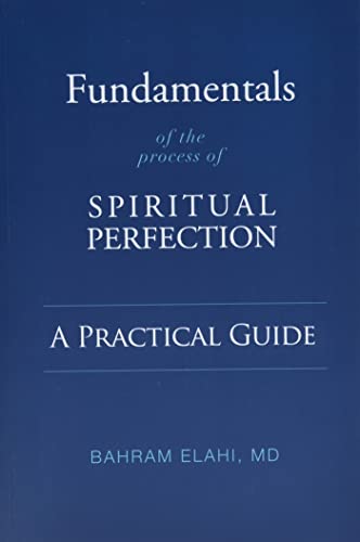 Fundamentals of the Process of Spiritual Perfection A Practical Guide [Paperback]