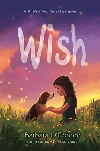 Wish [Hardcover]