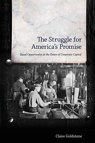 The Struggle For America's Promise Equal Opportunity At The Dawn Of Corporate C [Paperback]