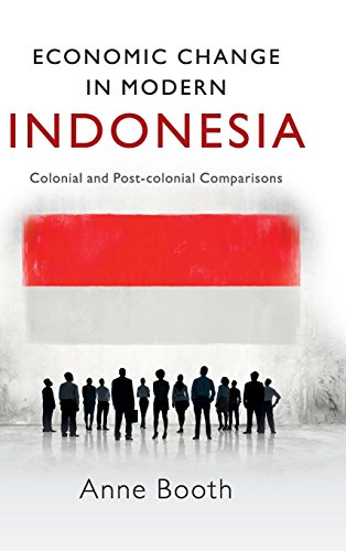 Economic Change in Modern Indonesia Colonial and Post-colonial Comparisons [Hardcover]